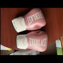 Brand new Everlast boxing gloves
