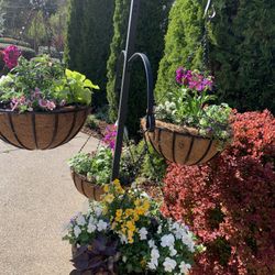 Custom Flowering Containers 