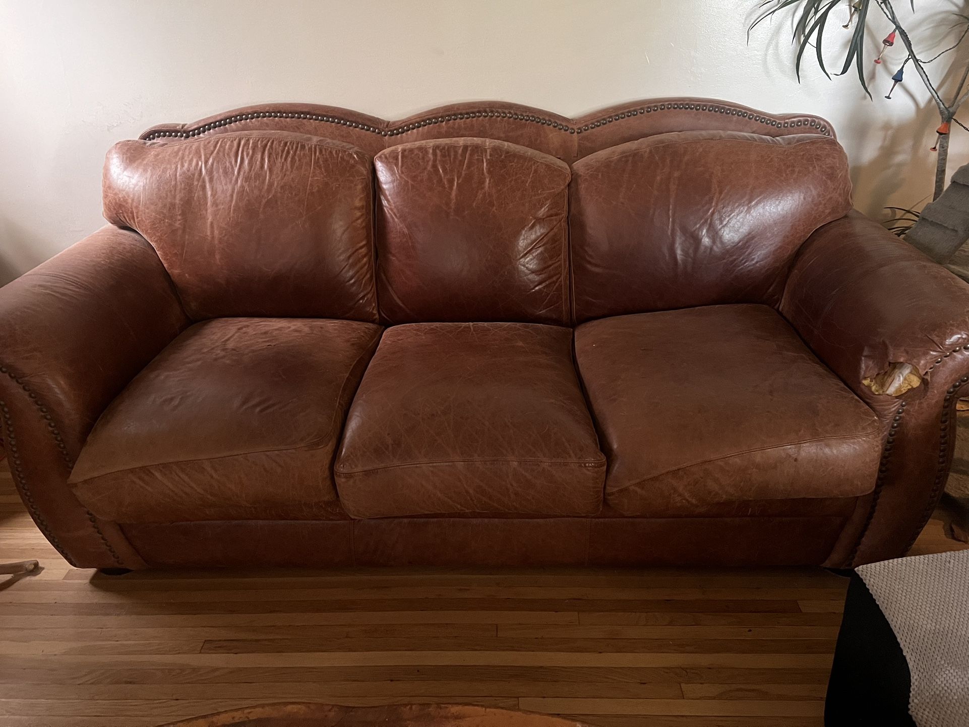 Leather Couches