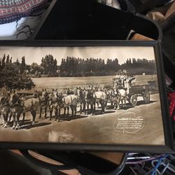 Genesee 12 Horse Team Photo 