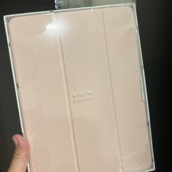 iPad Pro Smart Folio (11 Inch) 