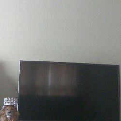 40" flat screen TV... Practically new