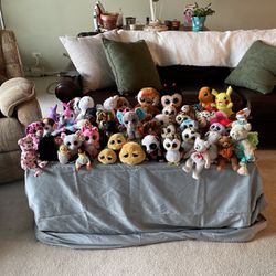 55 TY Beanie Babies And Plushes Vintage And New! Pokémon Plush Owls,cats,Bears,Disney And More! 