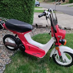 1981 Honda Express Moped 