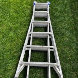 Ladder  Mt24'