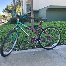 Magna Mountain Bike - Ready to Ride