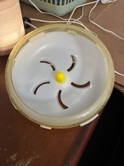 Hamster food and a will