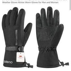 Ski Gloves
