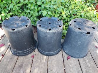 (3) 10" Dia. Plastic Nursery Pots