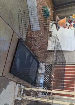 Dog crate great condition