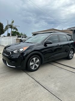 Tint for sale