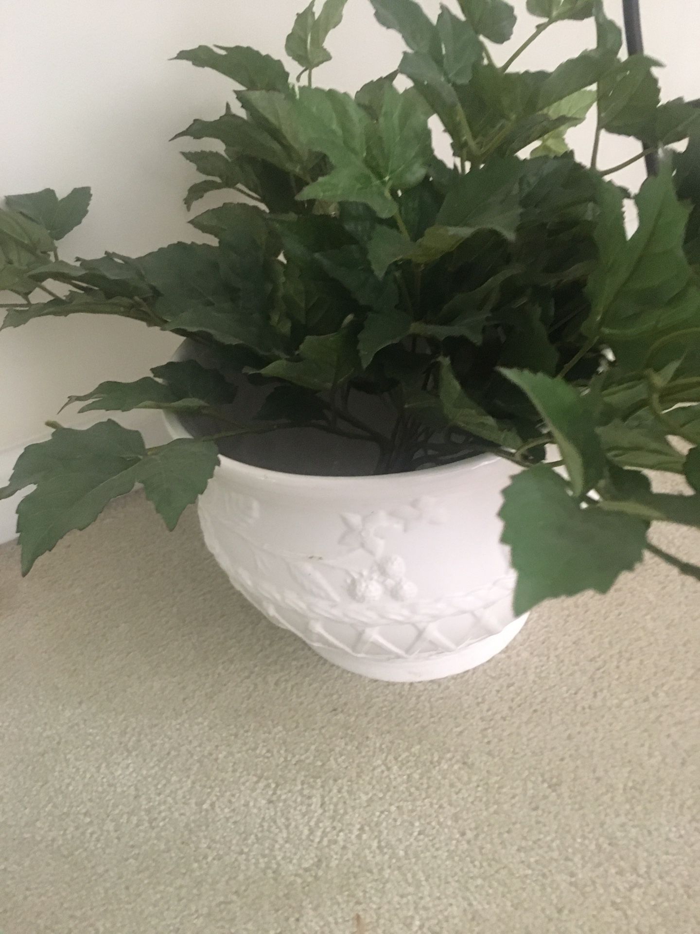 New Ceramic Pot