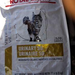 Royal Canine Cat Food