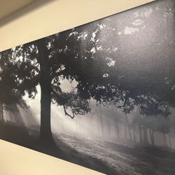 Tree Picture 
