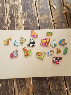 Animal magnets
