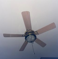 Free ceiling fan with remote