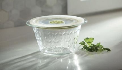 New Princess House 1Qt Container