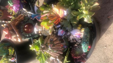 5 gallon fairy garden pot with succulents
