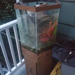 Fish Tank With Plants Fliter And Works!