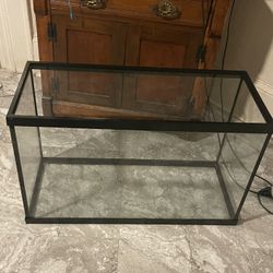 Fish Tank 