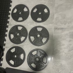 3 Pairs Of New Golds Gym Standard Inch Weights Plates 