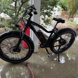 Rad Fat Tire E-Bike