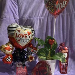 Valentine’s Day gift