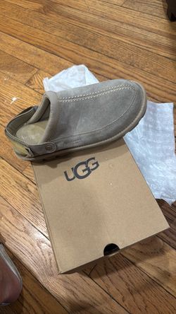 Kookaburra by Ugg