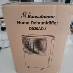 Hansabenne Home Dehumidifier.