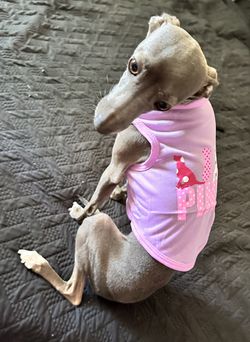 Pink Letter Doggie Vest Clothes 