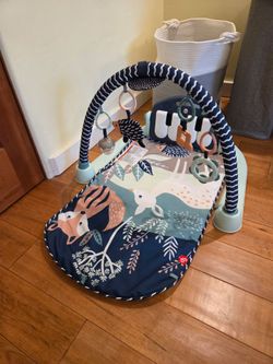 Kick N Play Fisher Price Piano