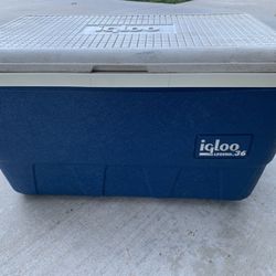 Igloo Cooler 36