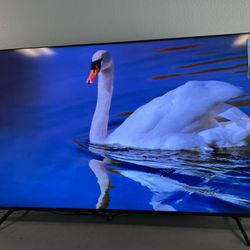 Sony 75” 4k 120hz X90J qled 