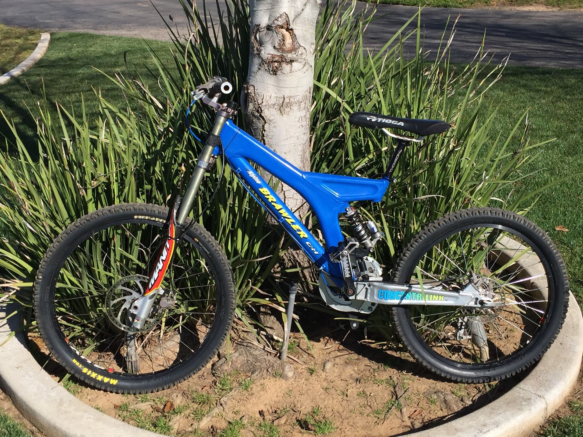 Lenz sport Alpine Brawler Bike my loss your gain