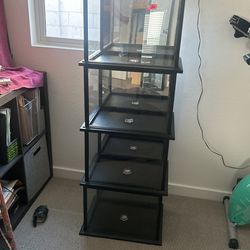 Shadow Box’s 