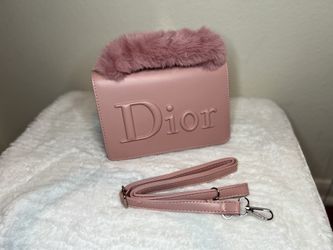 Dior Crossbody/hand Bag