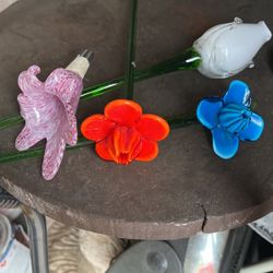 Glass Flowers