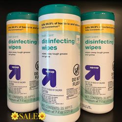 🛍DISINFECTING WIPES (PACK OF 3)