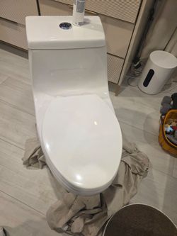 Glacier Bay Toilet