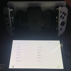 Nintendo Switch & Accessories Controller
