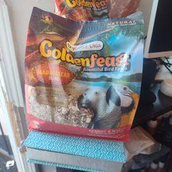 Golden feast Bird  Food