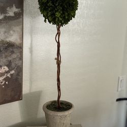 Pottery Barn Topiary Decor 