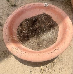 X-Large planter.