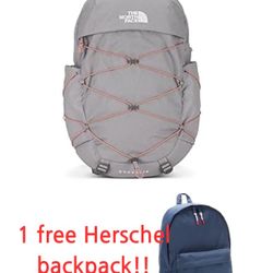 The North Face backpack / 1 Free Herschel Backpack!!