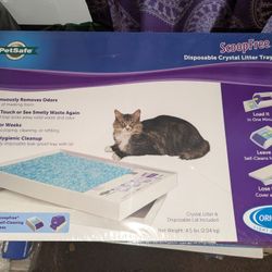 Crystal Litter Trays 12 Along With Working Electric Litter Box
