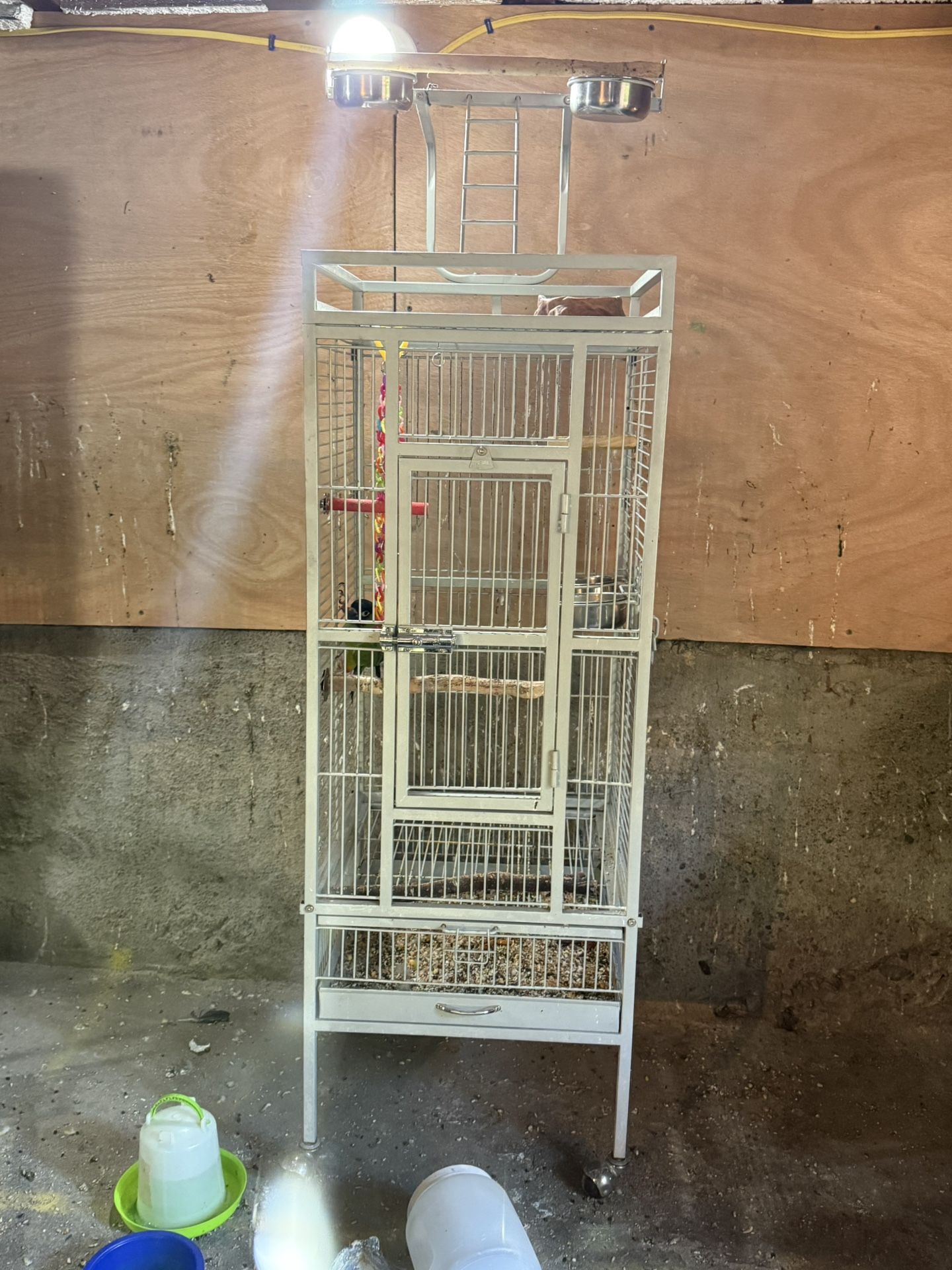 Bird Cage
