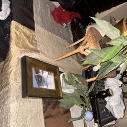 House Sale 