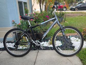 🚲 Diamondback Wildwood Comfort‑Hybrid Bike – 17" Medium Frame