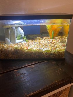 Glass Fish Tank Aquarium with Lid and Light