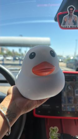 Sunny Days White Squishy Duck